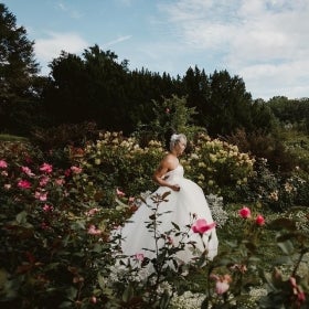 A bride walked through a blooming rose garden.