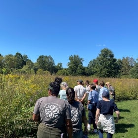 A group of people with their backs to the camera stand looking at a meadow. 