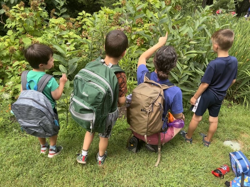 Three children and a camp counselor kneel with their backs to camera and look at a green plant.